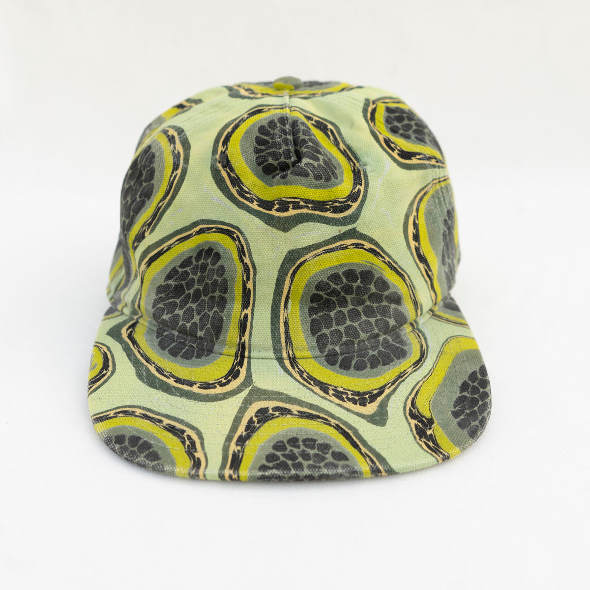 5 Panel: Ripe Kiwi