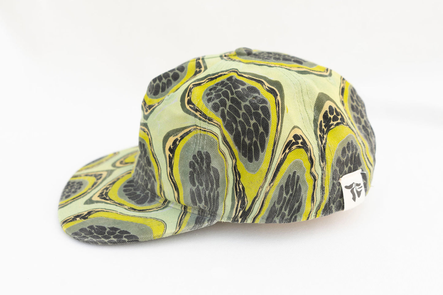 5 Panel: Ripe Kiwi