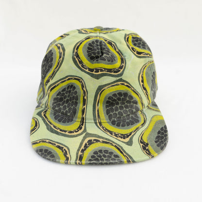 5 Panel: Ripe Kiwi